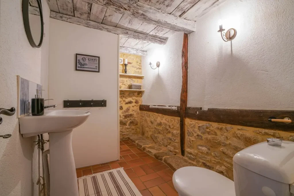 Salle d'eau aux murs de pierre, lavabo et WC