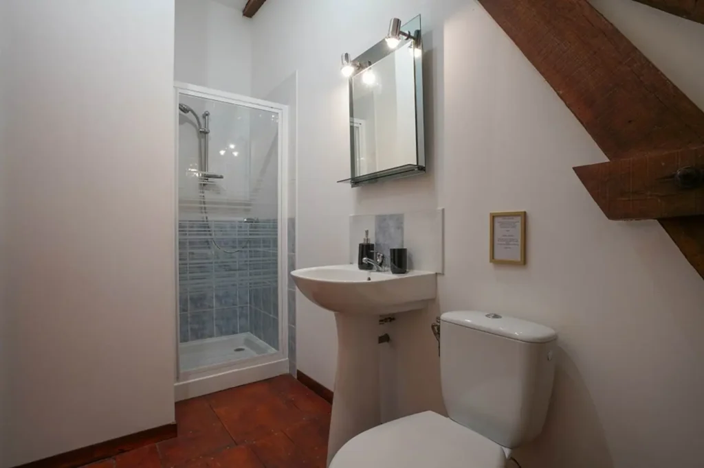 Salle d'eau : douche, lavabo et WC