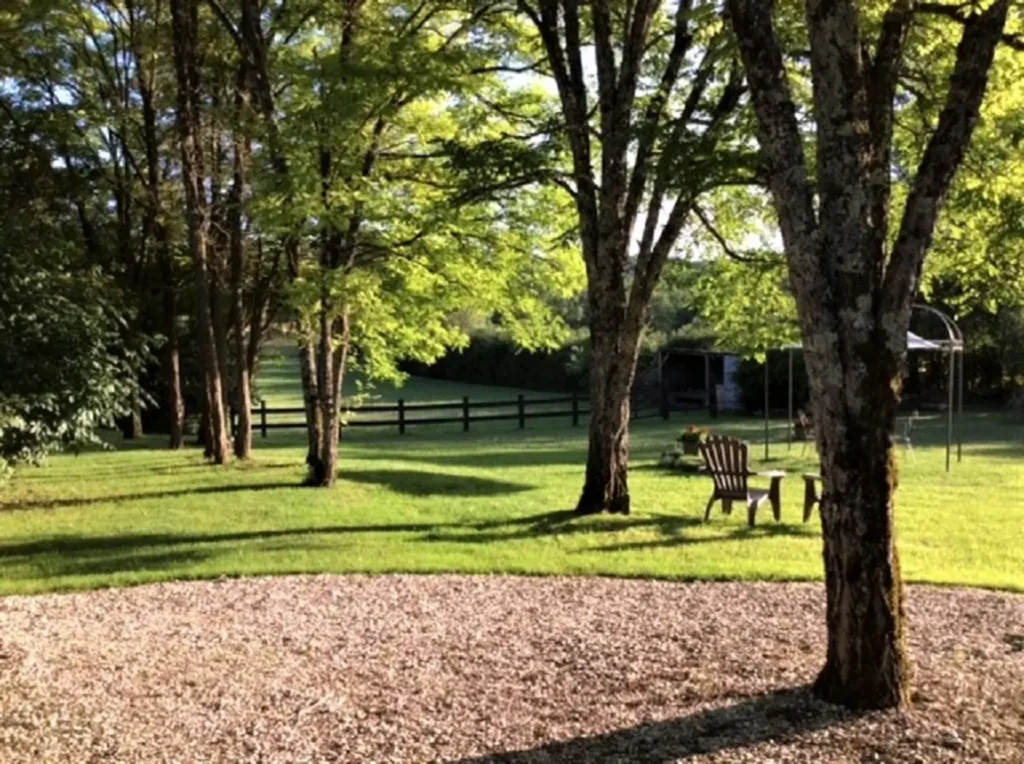 Le parc ombragé et ses grands arbres